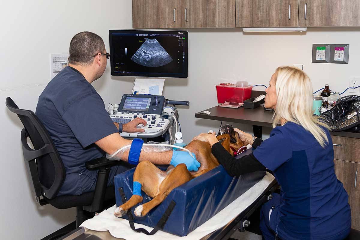 Ultrasound imaging